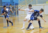 /album/fotos/a93691b1de0275715ee7bebbaa6b078f1-jpg1/